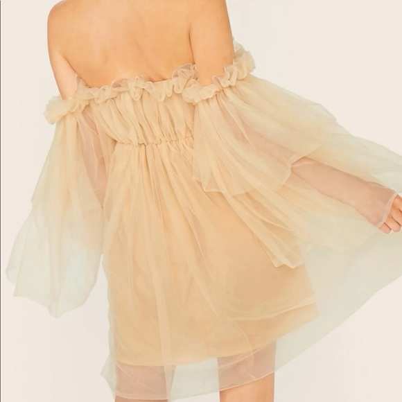 Ruffle mesh dress - Picture 3 of 9